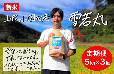 【3回定期便】令和6年産　山形県小国町産　雪若丸・5kg