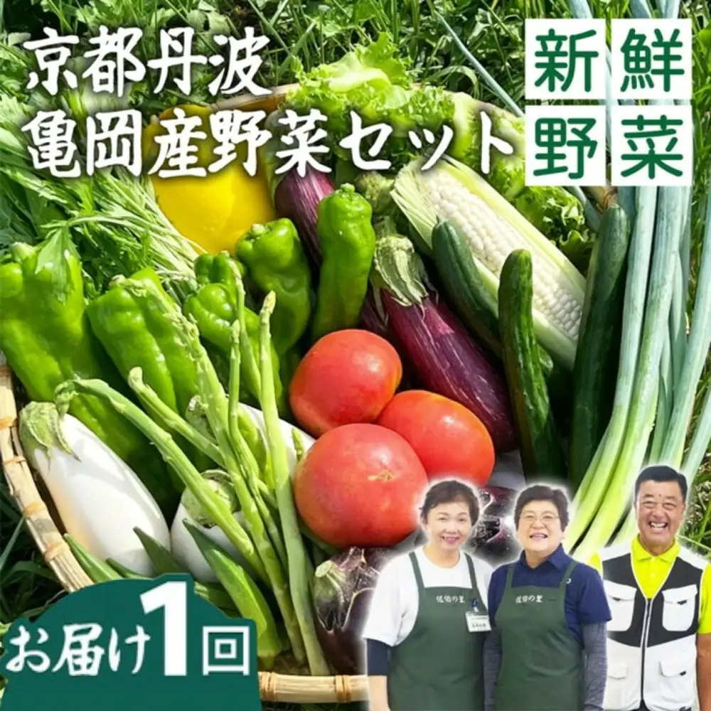 旬の朝採れ 新鮮 野菜セット 野菜