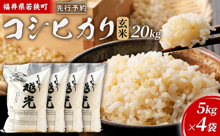 コシヒカリ 令和8年産 一等 玄米 20kg 神谷農園 コシヒカリ