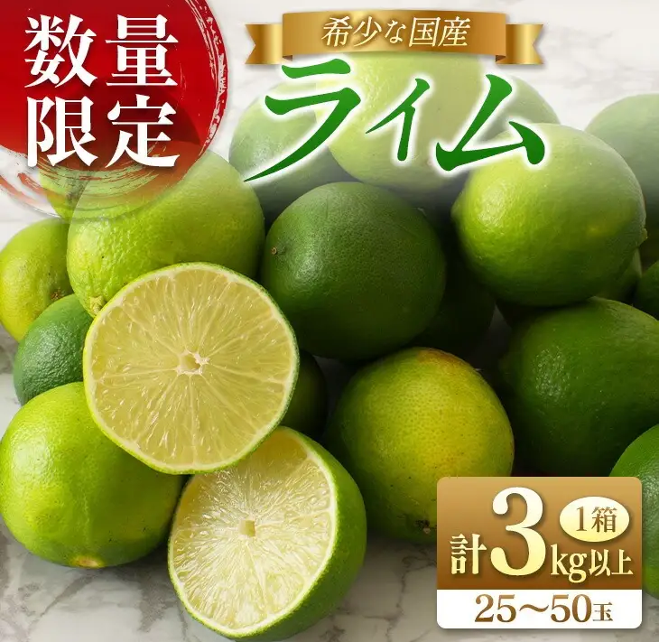 先行予約 皮まで使える ライム 計3kg以上 希少 国産ライム 果物 くだもの フルーツ_AA75-26