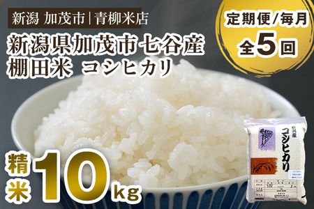 【令和8年産新米先行予約】【定期便5ヶ月毎月お届け】新潟産コシヒカリ 加茂市七谷産 棚田米 精米10kg（5kg×2）《9月下旬～順次出荷》 白米 真空パック 青柳米店