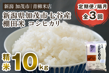 【令和8年産新米先行予約】【定期便3回隔月お届け】新潟産コシヒカリ 加茂市七谷産 棚田米 精米10kg（5kg×2）《9月下旬～順次出荷》 白米 真空パック 青柳米店