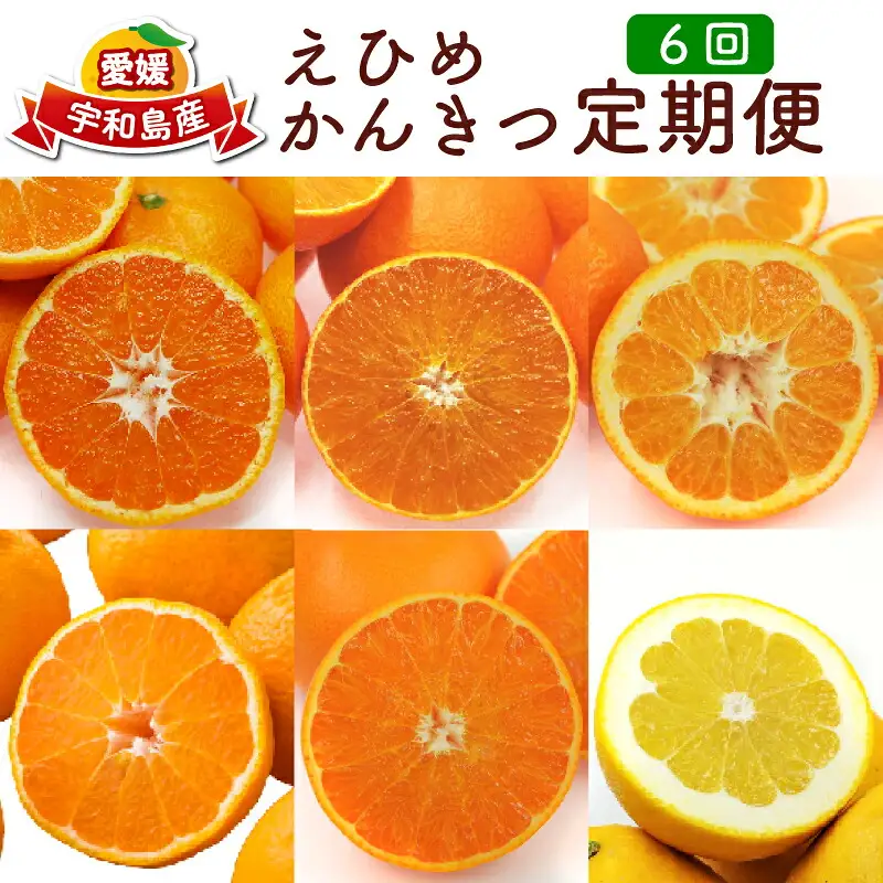 【 みかん定期便】みかん柑橘定期便6回愛媛県観光物産協会|B130-113001
