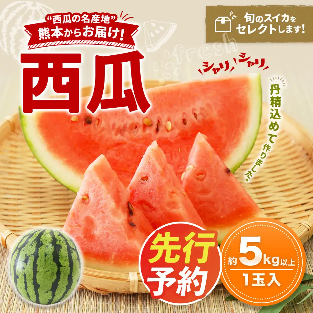 ＜ R8年熊本地震復興支援 ＞熊本産 西瓜 約5kg～1玉入り【2027年5月上旬～7月上旬迄順次発送予定】すいか 果物 フルーツ