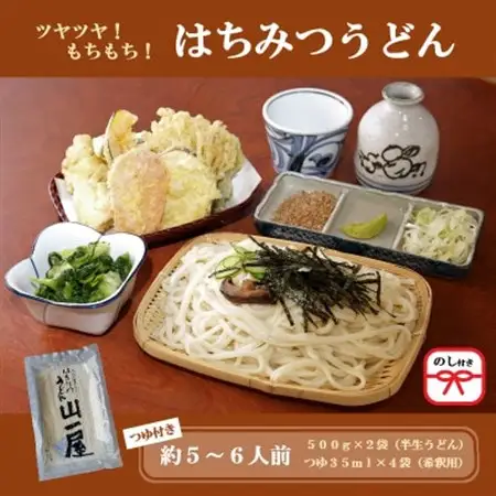 【のし付き】はちみつうどん500g×2袋 約5～6人前(半生うどん)【配送不可地域：離島・沖縄県】【1430844】