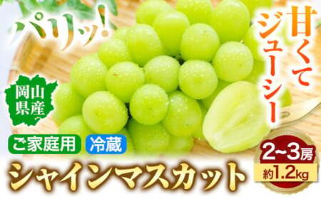 シャインマスカット 家庭用 2～3房 約1.2kg