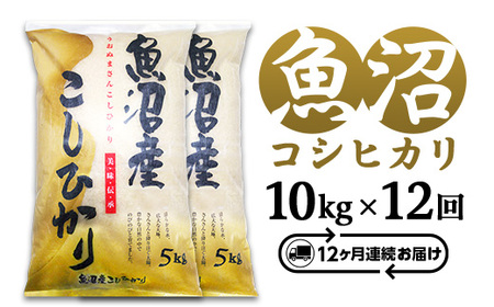 C2-8K10Z【12ヶ月連続お届け】新潟県魚沼産コシヒカリ10kg（5kg×2袋）（長岡川口地域）