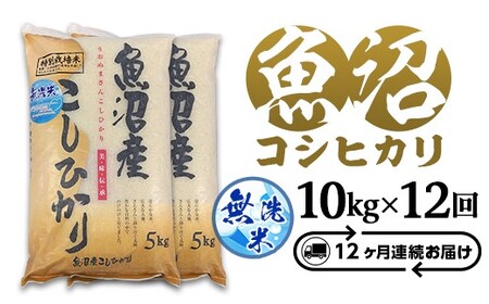 C2-8M10Z【12ヶ月連続お届け】新潟県魚沼産特別栽培米コシヒカリ無洗米10kg（5kg×2袋）（長岡川口地域）