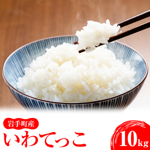 令和５年産 岩手町産いわてっこ10ｋｇ（5㎏×2袋） 