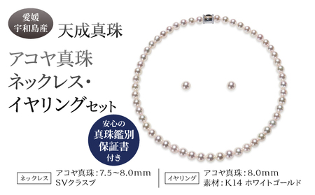 アコヤ真珠 ネックレス 7.5-8.0mm イヤリング 8.0mm セット 天成真珠 鑑別書付 宇和島真珠 アコヤ真珠 本真珠 真珠 パール 国産真珠 真珠 A1060-114009