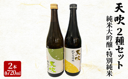 日本酒セット 天吹 純米大吟醸 特別純米 飲み比べ 日本酒セット【720ml×2本】