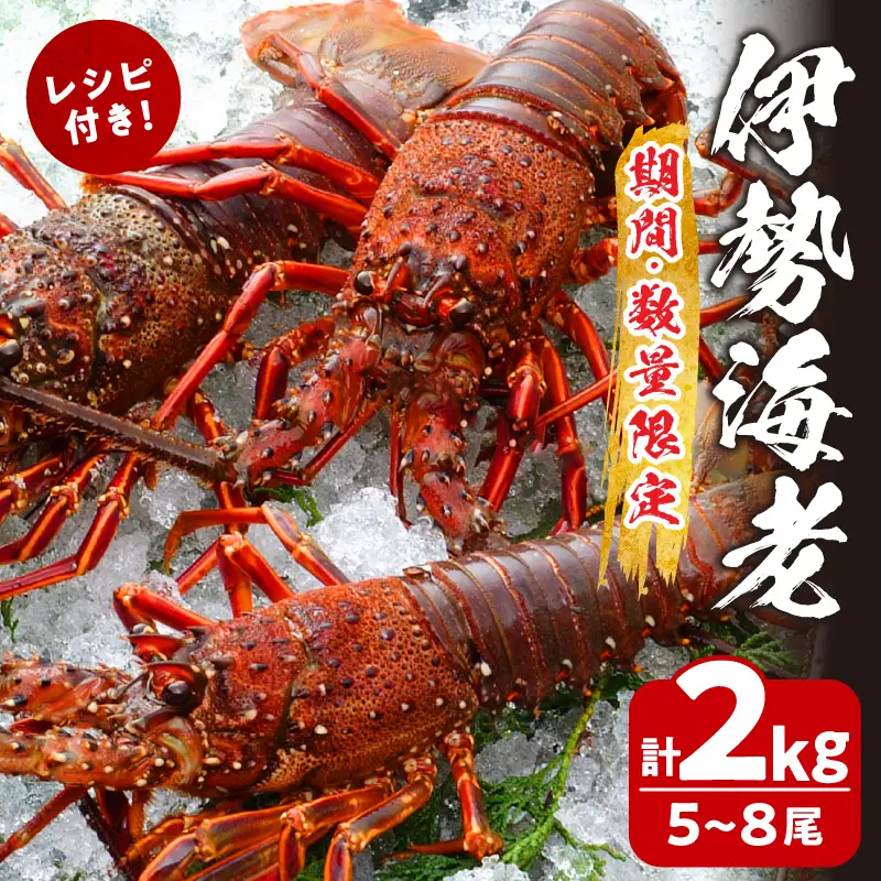 先行予約≪数量限定≫伊勢海老(計2kg) えび 魚介 海鮮 国産_T013-0025