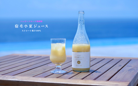 宿毛小夏ジュース 1本セット ジュース