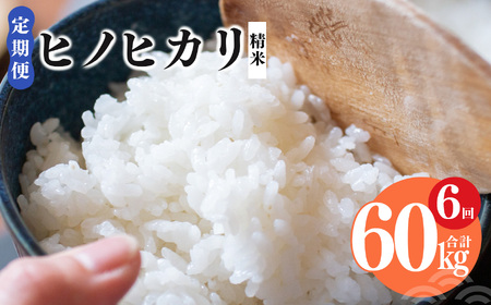 【 定期便 6回 】奈良県産 ヒノヒカリ 精米 10kg （ 計60kg ） | コメ 米 こめ 精米 ひのひかり　もちもち　奈良県 五條市 