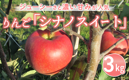 りんご「シナノスイート」3kg 長野県オリジナル品種｜JA信州うえだ東部地区営農課 東御市産 ※10月中旬～11月上旬頃お届け予定