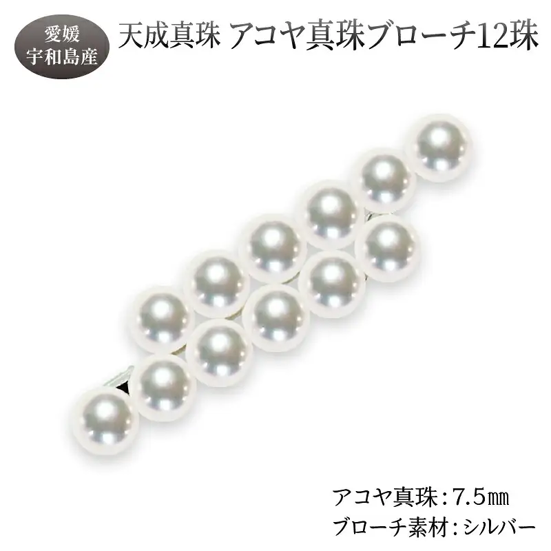アコヤ真珠 ブローチ 7.5mm 12珠 天成真珠 パール アクセサリー A405-114016