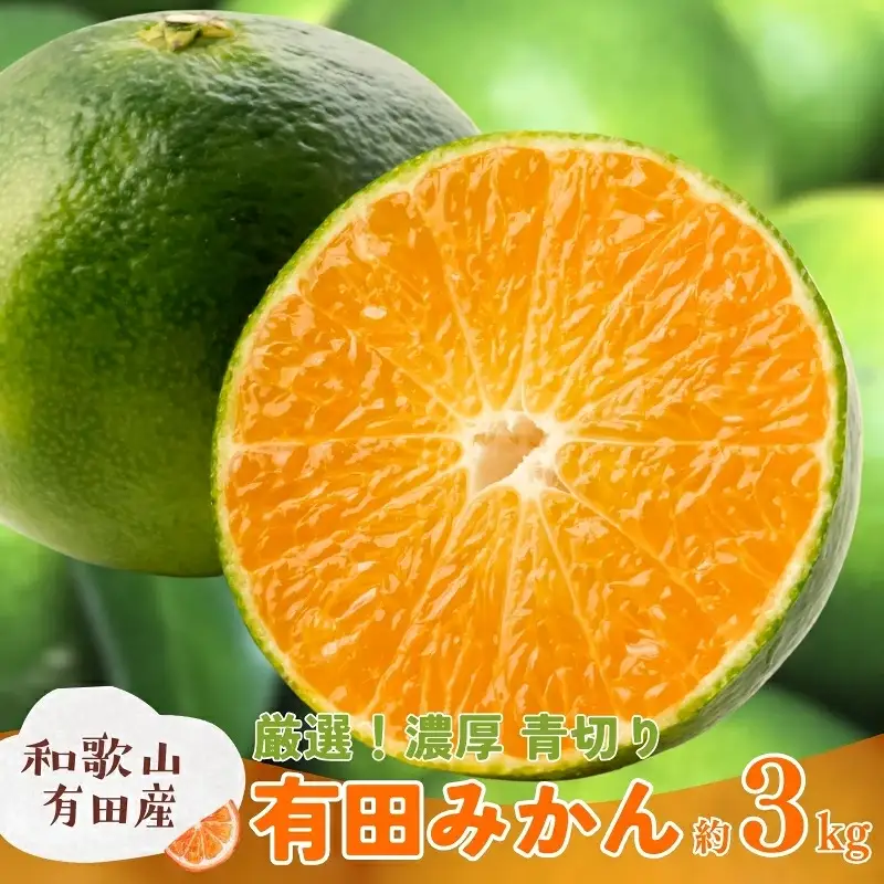 特選　青切り有田みかん　約3kg+200g(痛み補償分)【2026年9月中旬～10月上旬頃に順次発送予定】【AA90082-ard043C】