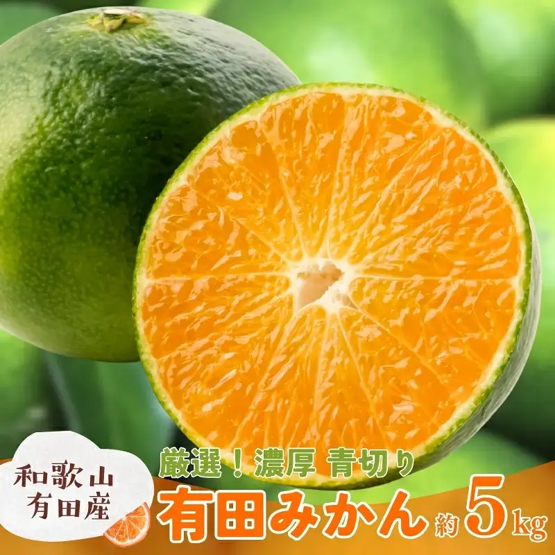 特選　青切り有田みかん　約5kg+200g(痛み補償分)【2026年9月中旬～10月上旬頃に順次発送予定】【AA90083-ard044D】