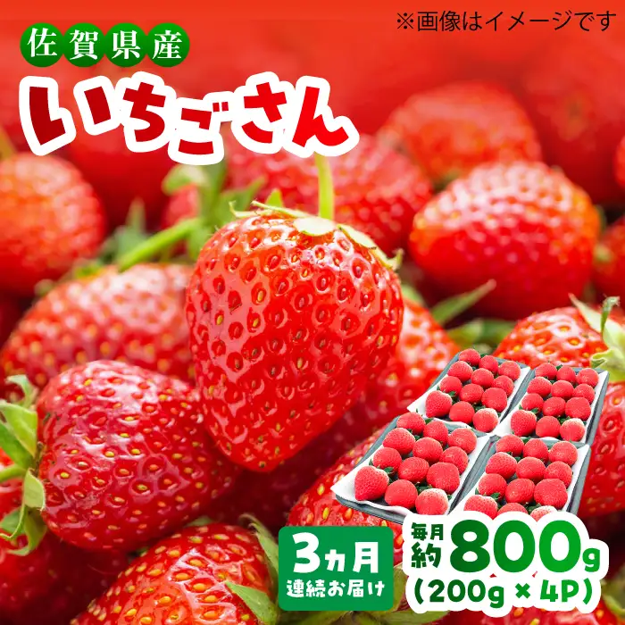 【1月から3月発送】【3回定期便】いちごさん 約800g（約200g×4P）いちご イチゴ 苺[FDF002]