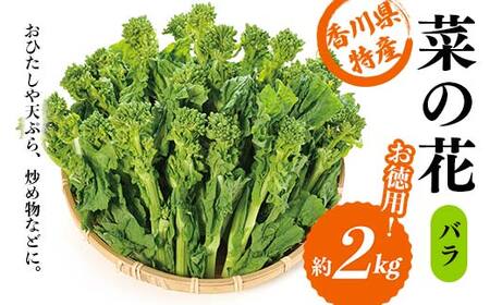 【先行予約2026年12月～2027年3月頃お届け】  菜の花 バラ (約2kg) なの花 菜の花 おひたし 天ぷら 炒め物 春 野菜 食品 名産 四国 F5J-926