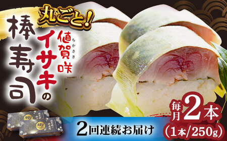 【2回定期便】【高級魚】 ブランドイサキ 棒寿司 約250g×2 寿司 寿司 寿司 寿司  [DAK012]