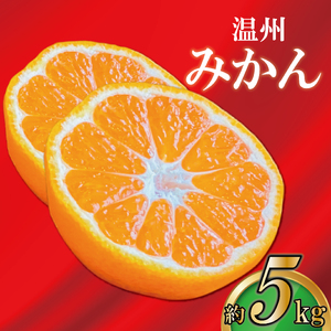 極撰 温州みかん 約5kg みかん 【2026年11月上旬より順次発送】