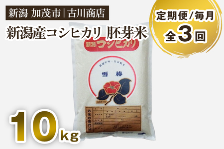 【定期便3回毎月お届け】産コシヒカリ 胚芽米10kg お米の専門店 古川商店
