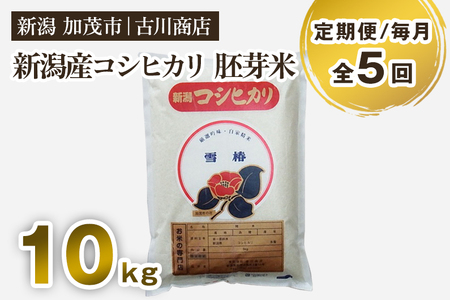 【定期便5ヶ月毎月お届け】産コシヒカリ 胚芽米10kg お米の専門店 古川商店
