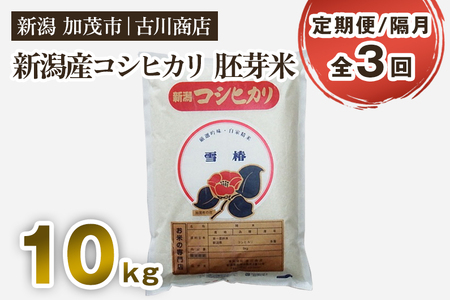 【定期便3回隔月お届け】産コシヒカリ 胚芽米10kg お米の専門店 古川商店