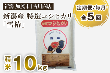 【令和7年産】【定期便5ヶ月毎月お届け】新潟県産 特選コシヒカリ「雪椿」精米10kg 白米 加茂市