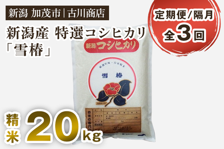 【令和7年産】【定期便3回隔月お届け】新潟県産 特選コシヒカリ「雪椿」精米20kg 《順次発送》 白米 加茂市 お米の専門店 古川商店