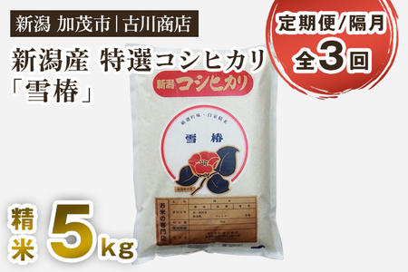 【令和7年産】【定期便3回隔月お届け】新潟県産 特選コシヒカリ「雪椿」精米5kg 《順次出荷》 白米 加茂市 お米の専門店 古川商店