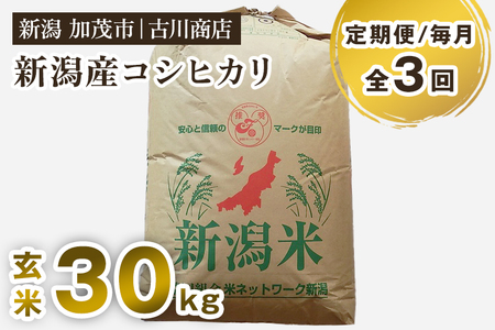 【令和7年産】【定期便3回毎月お届け】新潟県加茂市産コシヒカリ 玄米30kg 《順次発送》