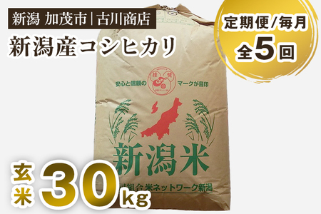 【令和7年産】【定期便5ヶ月毎月お届け】新潟県加茂市産コシヒカリ 玄米30kg 《順次発送》 お米の専門店 古川商店