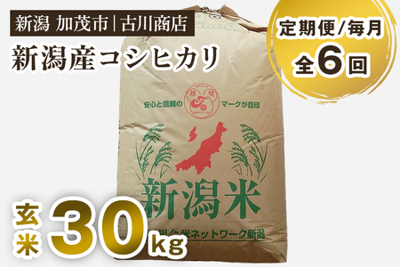 【令和7年産】【定期便6ヶ月毎月お届け】新潟県加茂市産コシヒカリ 玄米30kg 《順次発送》 お米の専門店 古川商店