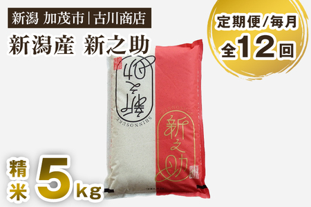 【令和7年産】【定期便12ヶ月毎月お届け】新潟の新ブランド米「新之助」精米5kg 《順次発送》 白米 大粒 加茂市 お米の専門店 古川商店