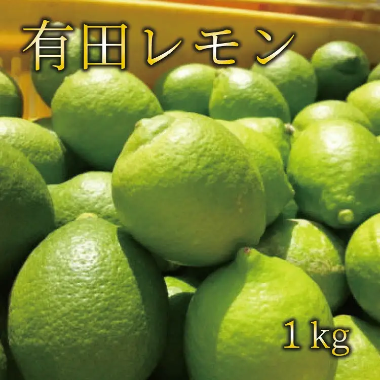 【国産】紀州和歌山 有田レモン 約1kg+200g(傷み補償分)【2026年9月下旬～2027年2月上旬に順次発送】【AA90090-ard030B】