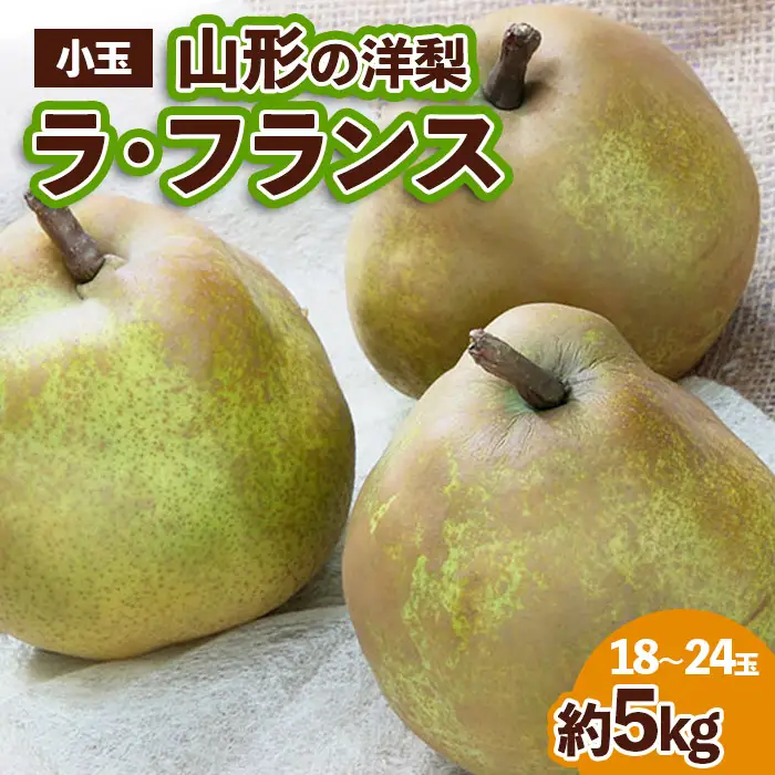 山形の洋梨 ラフランス 優品 約5kg (小玉2L～M/18～24玉)[12月発送] 【令和8年産先行予約】FS25-783