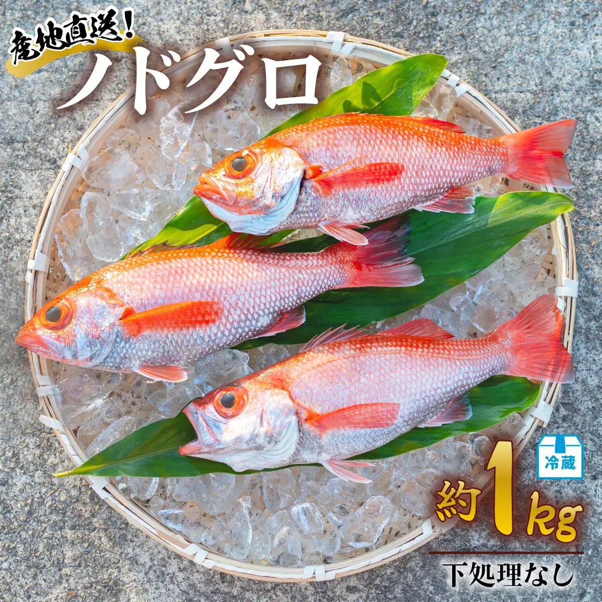 ノドグロ 約1kg 産地直送 冷蔵 下処理なし アカムツ のどぐろ 高級魚 水揚げ時重量約1kg