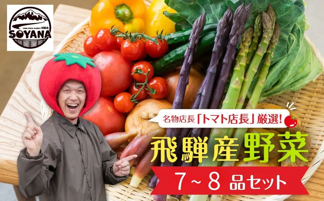 飛騨産 旬の新鮮 野菜セット (7-8品) / 野菜 セット