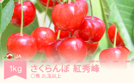 先行予約 さくらんぼ 紅秀峰 ja-bspcx1000