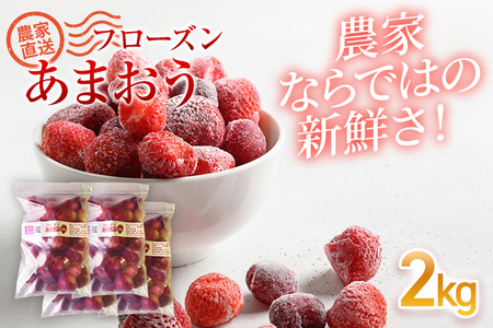 フローズンあまおう2kg(500g×4袋) 冷凍 いちご 苺  BD11