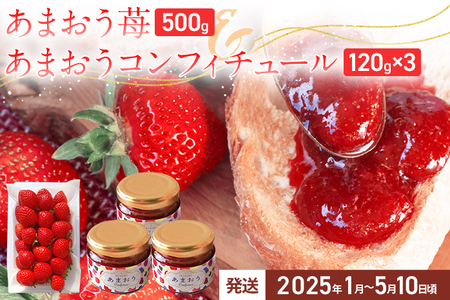あまおう苺500gとコンフィチュール120g×3個のセット ※2025年1月～5月10日頃順次発送予定 BD13