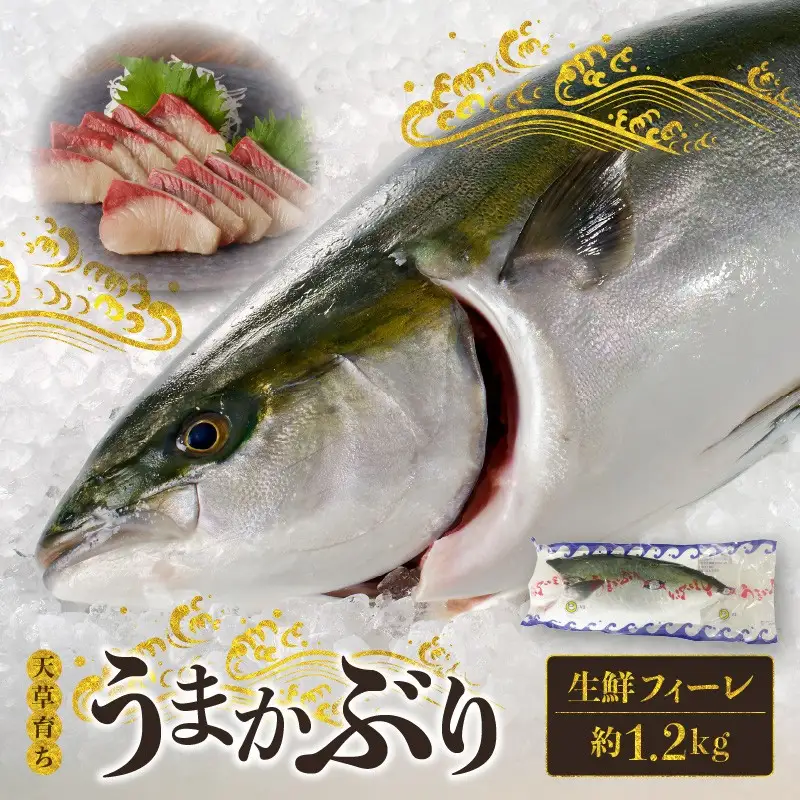 S137-009_【天草育ち】活じめ！うまかぶり生鮮フィーレ 約1.2kg（真空パックでお届け）