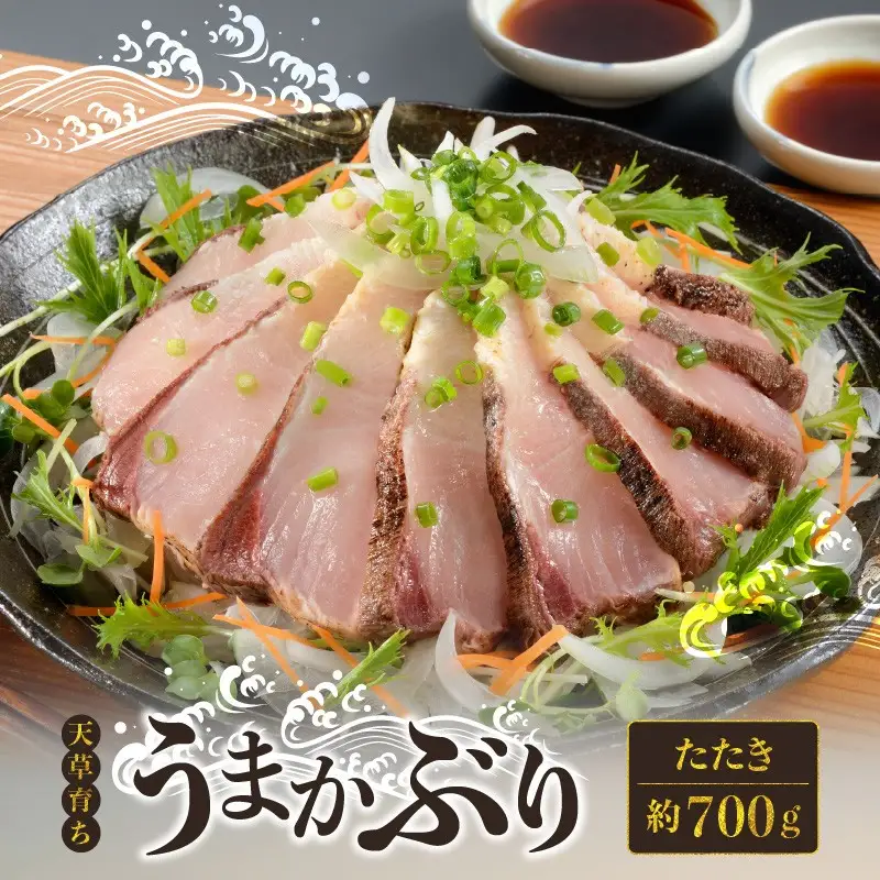 S137-011_【天草育ち】活じめ！うまかぶりたたき2節　約700g（切るだけ、手間いらず）