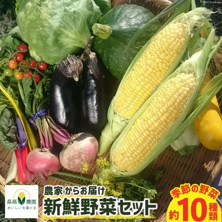 【期間限定発送】農家からお届け 新鮮野菜セット