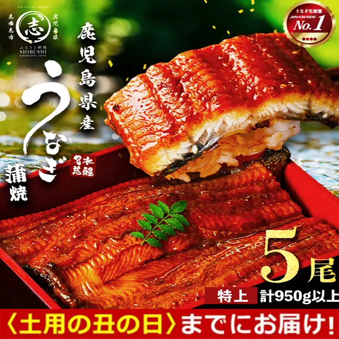 【丑の日までに配送】鹿児島県産うなぎ蒲焼 名水慈鰻 特上5尾(1尾190g以上)＜計950g以上＞ うなぎ 鰻 ウナギ 5尾 国産 九州産 蒲焼き かばやき 冷凍 うな重 ひつまぶし タレ 山椒 ランキング 人気 c15-001-us