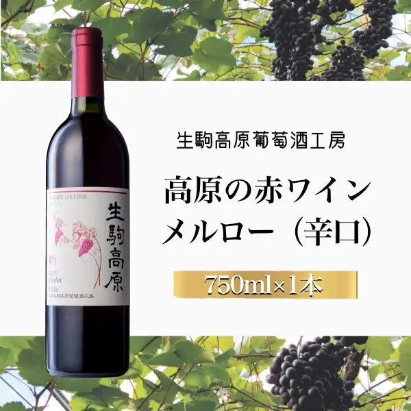 【高原の赤ワイン】メルロー（辛口） 国産ワイン 辛口ワイン 小林ワイン メルローワイン ギフトワイン