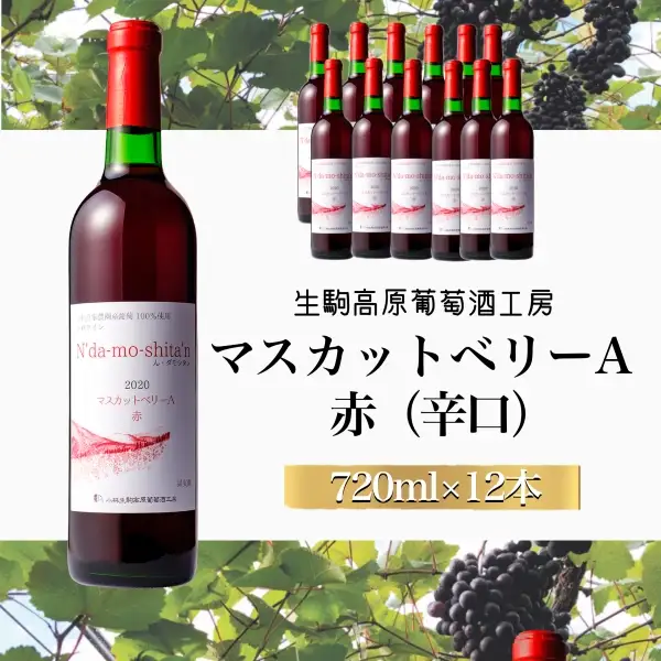 【高原のフレッシュワイン】マスカットベリーA（赤）　1ダース 国産ワイン 赤ワイン 小林ワイン 1ダースワイン ギフトワイン
