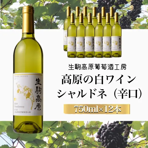 【高原の白ワイン】シャルドネ（辛口）　1ダース 国産ワイン シャルドネワイン 小林ワイン 1ダースワイン ギフトワイン
